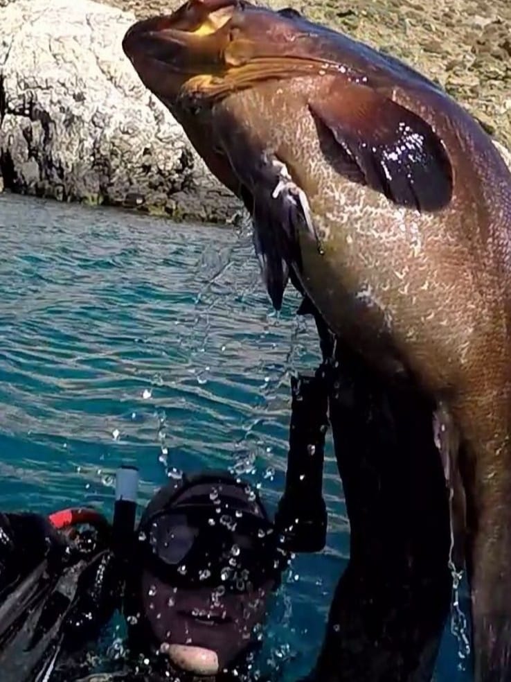 kalymnos boat trips Captain Nektarios3